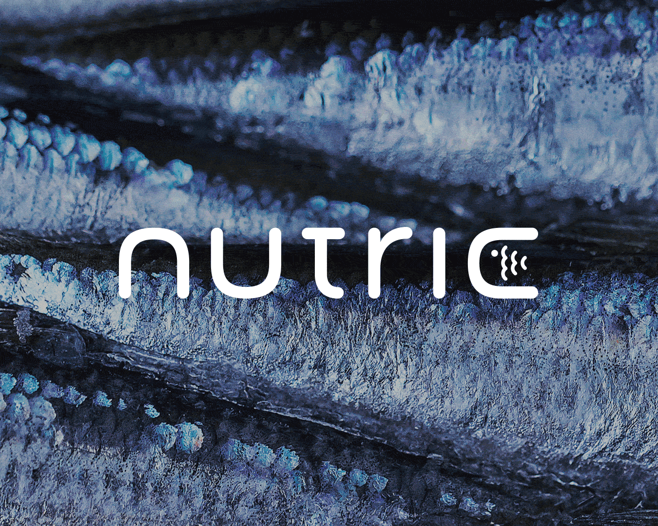 Proyecto de imagen corporativa para Nutric. Centro de nutrición y clínica deportiva en Córdoba.